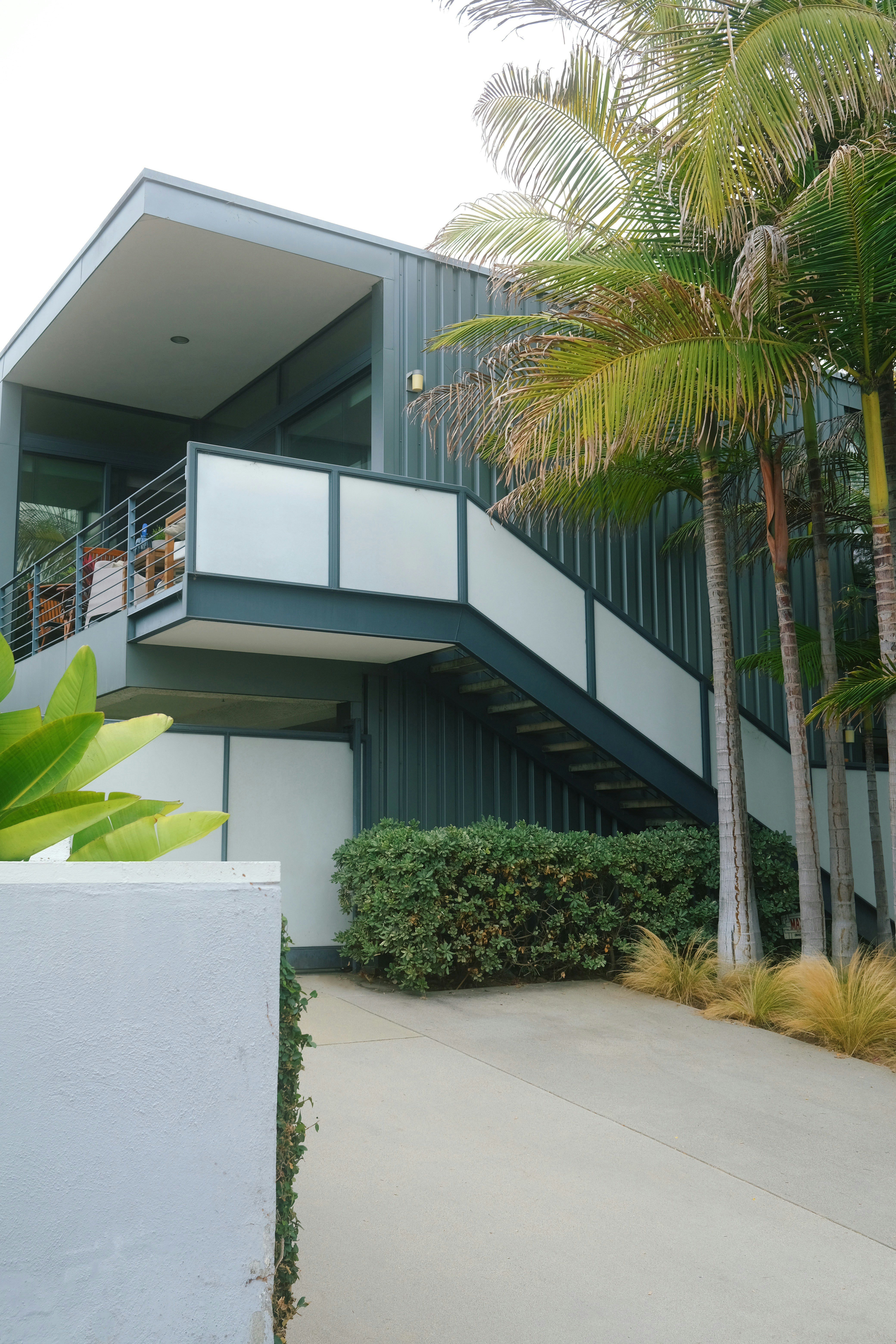 house with palm trees by mike von